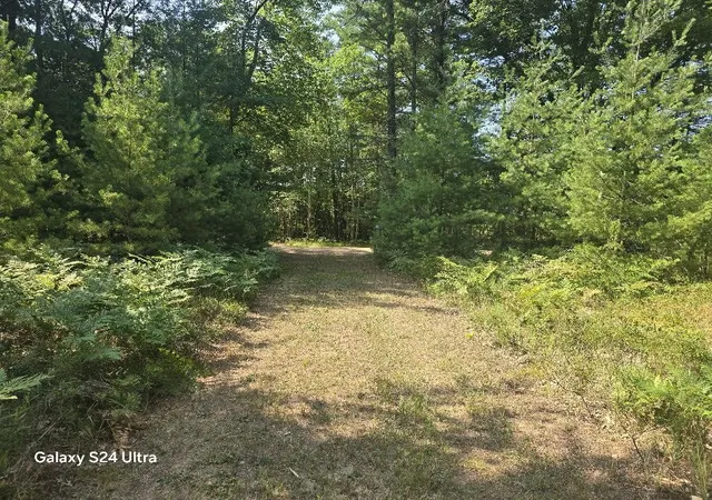 Photo 3 of Land for sale at 10652 N River Rd, Irons, MI 49644 | MLS# 70553458 | Listing updated on 2026-09-14
