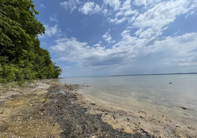 Homes for sale in Suttons Bay, MI | S Lee Point Rd, Suttons Bay, MI 49682 | MLS# 80062089