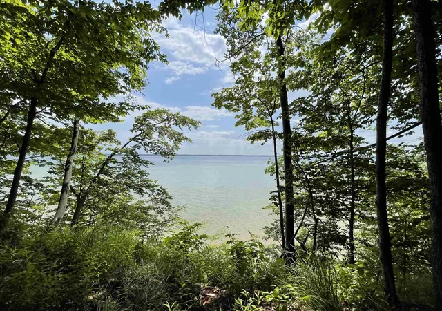 Homes for sale in Suttons Bay, MI | S Lee Point Rd, Suttons Bay, MI 49682 | MLS# 80062089