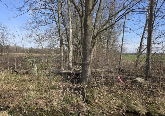 Homes for sale in Richmond Twp, MI | 0 Weber (lot B) Rd, Richmond Twp, MI 48063 | MLS# 50206500