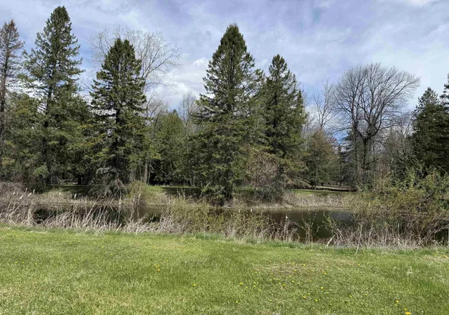 Homes for sale in Turner, MI | 0 S M 65, Turner, MI 48765 | MLS# 80067799