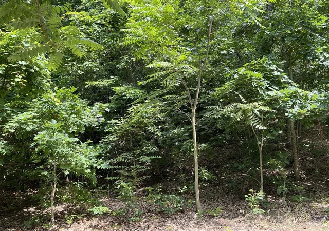 1st image of 9419 Kramer Dr, Bridgman, MI 49106 | MLS# 70417006