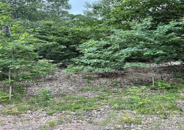 2nd image of 9419 Kramer Dr, Bridgman, MI 49106 | MLS# 70417006