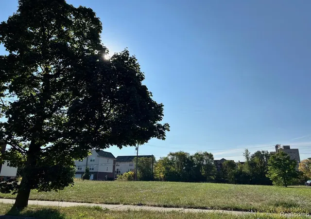 4th image of 238 Hendrie St, Detroit, MI 48202 | MLS# 60939508