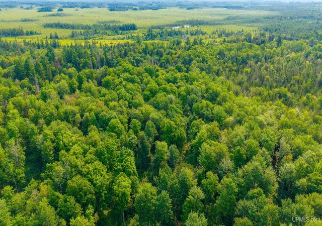 3rd image of 15 Acres Off Bob'S Creek Truck Trail Trail, Gwinn, MI 49841 | MLS# 50217192