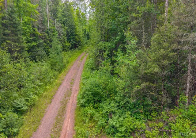 4th image of 15 Acres Off Bob'S Creek Truck Trail Trail, Gwinn, MI 49841 | MLS# 50217192