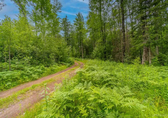 5th image of 15 Acres Off Bob'S Creek Truck Trail Trail, Gwinn, MI 49841 | MLS# 50217192