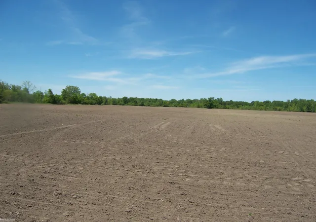 Homes for sale in Kimball, MI | Lot 5 Lapeer Rd Rd, Kimball, MI 48074 | MLS# 50209888
