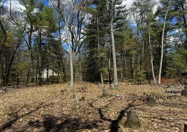 Photo 1 of Land for sale at (Undisclosed), Twin Lake, MI 49457 | MLS# 70544494 | Listing updated on 2026-07-15