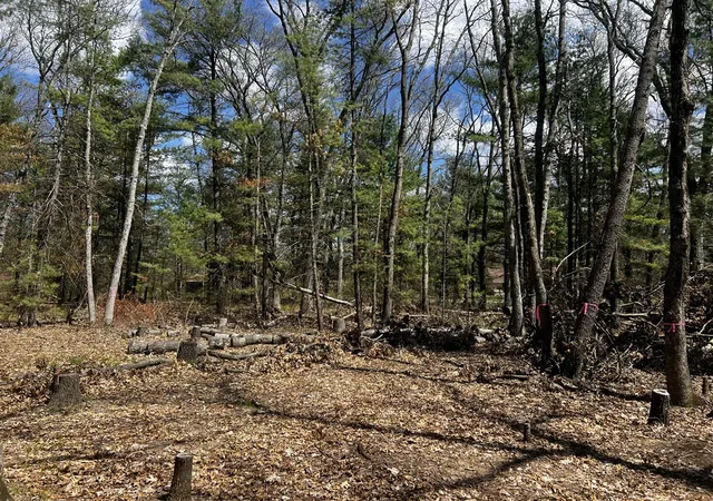 Photo 2 of Land for sale at (Undisclosed), Twin Lake, MI 49457 | MLS# 70544494 | Listing updated on 2026-07-15