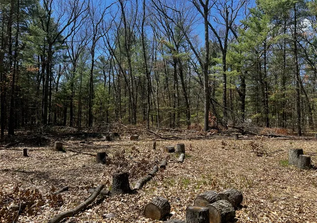 Photo 3 of Land for sale at (Undisclosed), Twin Lake, MI 49457 | MLS# 70544494 | Listing updated on 2026-07-15