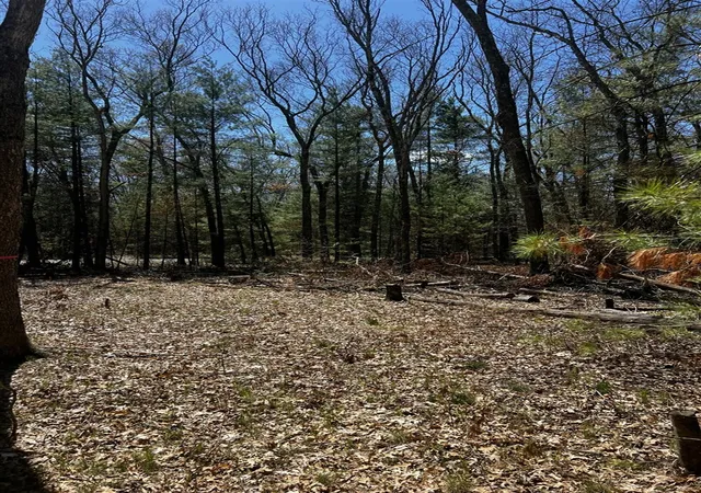 Photo 3 of Land for sale at (Undisclosed), Twin Lake, MI 49457 | MLS# 70544494 | Listing updated on 2026-07-15