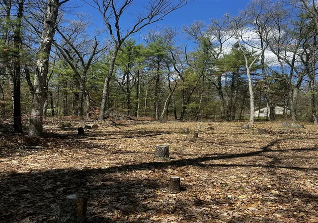 Photo 4 of Land for sale at (Undisclosed), Twin Lake, MI 49457 | MLS# 70544494 | Listing updated on 2026-07-15