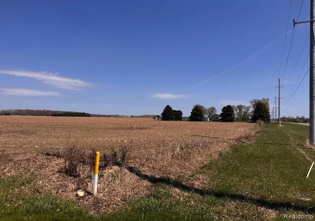 Homes for sale in Carsonville, MI | 0000 Fitch And Sanilac Rd, Carsonville, MI 48419 | MLS# 60987211