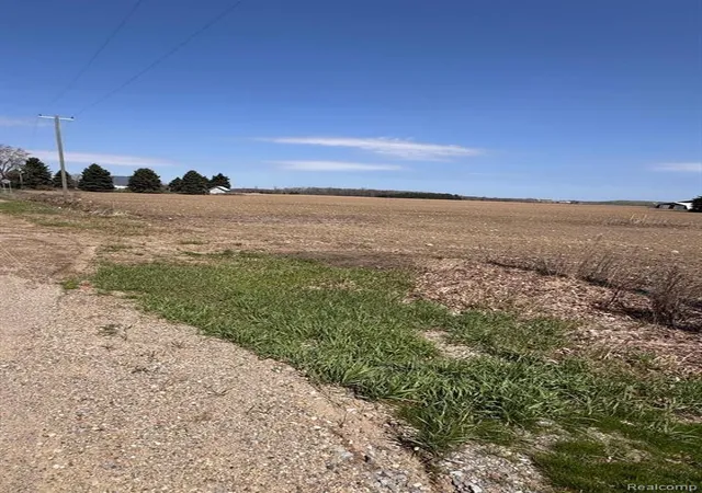 Homes for sale in Carsonville, MI | 0000 Fitch And Sanilac Rd, Carsonville, MI 48419 | MLS# 60987211