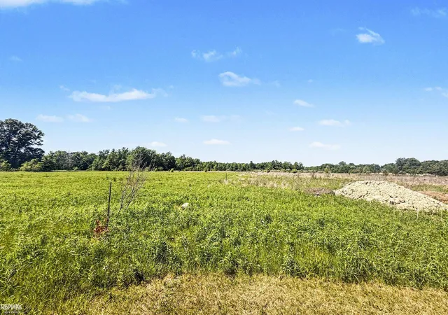 Homes for sale in Marine City, MI | 000 Marine City Hwy Hwy, Marine City, MI 48054 | MLS# 50210458