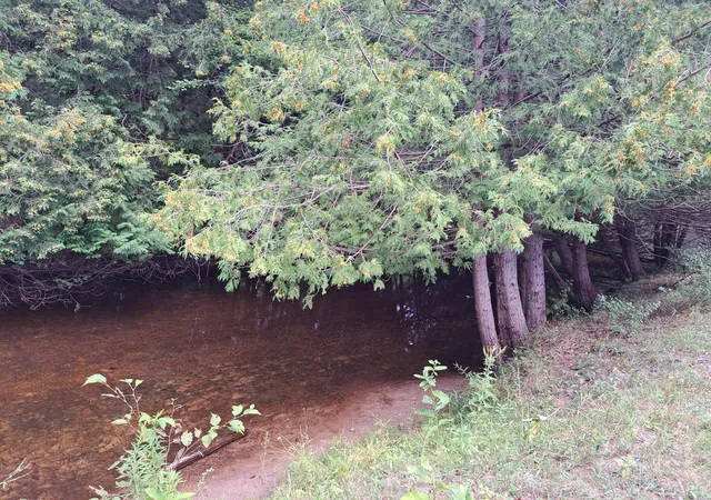 19th image of 401 Mill St, Farwell, MI 48622 | MLS# 50218934