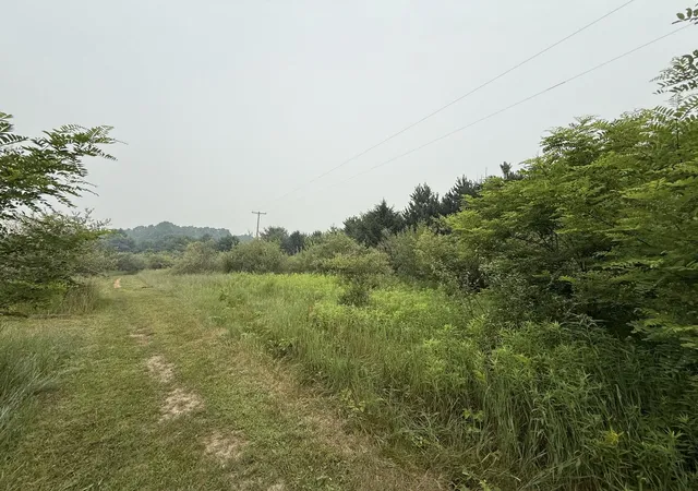 Photo 1 of Land for sale at 20 E Acres M 30 Hwy, Alger, MI 48610 | MLS# 50215118 | Listing updated on 2026-09-18