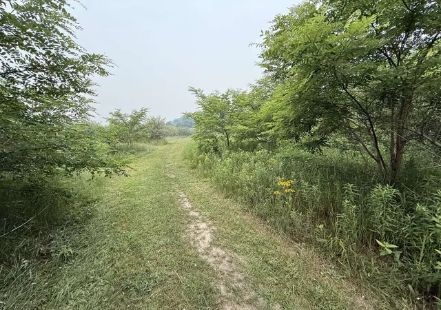 Photo 2 of Land for sale at 20 E Acres M 30 Hwy, Alger, MI 48610 | MLS# 50215118 | Listing updated on 2026-09-18