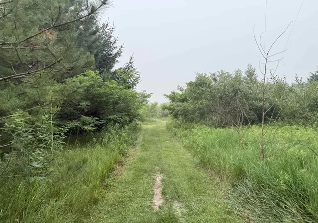 Photo 3 of Land for sale at 20 E Acres M 30 Hwy, Alger, MI 48610 | MLS# 50215118 | Listing updated on 2026-09-18