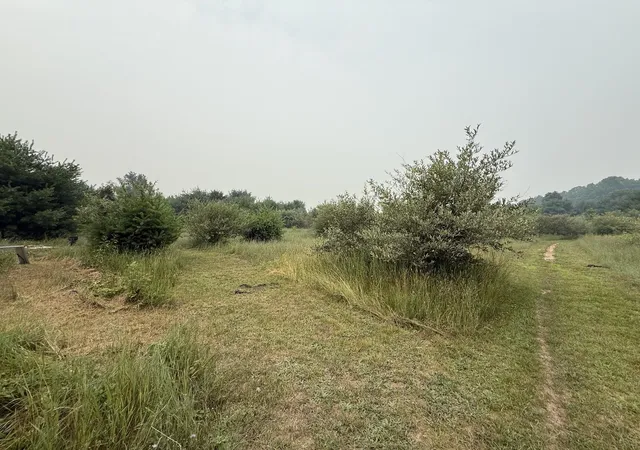 Photo 3 of Land for sale at 20 E Acres M 30 Hwy, Alger, MI 48610 | MLS# 50215118 | Listing updated on 2026-09-18