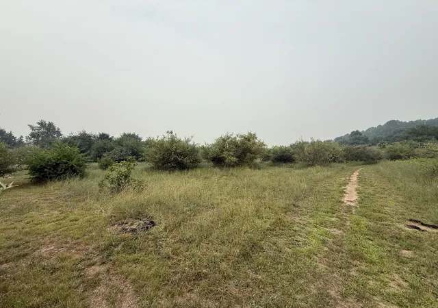 Photo 4 of Land for sale at 20 E Acres M 30 Hwy, Alger, MI 48610 | MLS# 50215118 | Listing updated on 2026-09-18