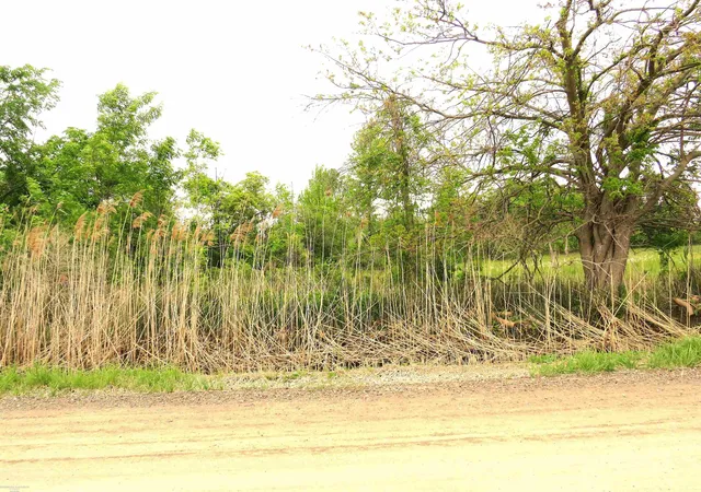 Photo 3 of Land for sale at 65002 Gratiot Rd, Lenox, MI 48050 | MLS# 50164094 | Listing updated on 2026-09-02