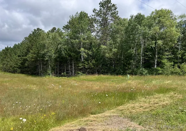 Homes for sale in Crystal Falls, MI | Tbd Us 141 Hwy, Crystal Falls, MI 49920 | MLS# 50211705