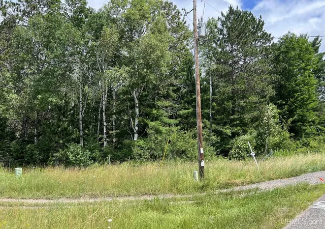 Homes for sale in Crystal Falls, MI | Tbd Us 141 Hwy, Crystal Falls, MI 49920 | MLS# 50211705