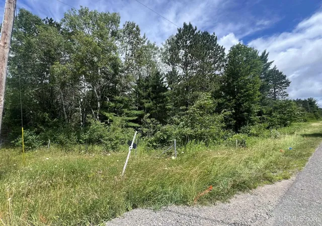 Homes for sale in Crystal Falls, MI | Tbd Us 141 Hwy, Crystal Falls, MI 49920 | MLS# 50211705