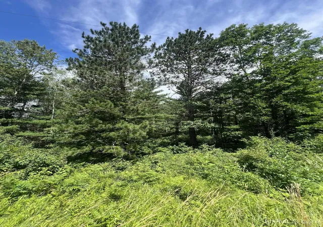 Homes for sale in Crystal Falls, MI | Tbd Us 141 Hwy, Crystal Falls, MI 49920 | MLS# 50211705