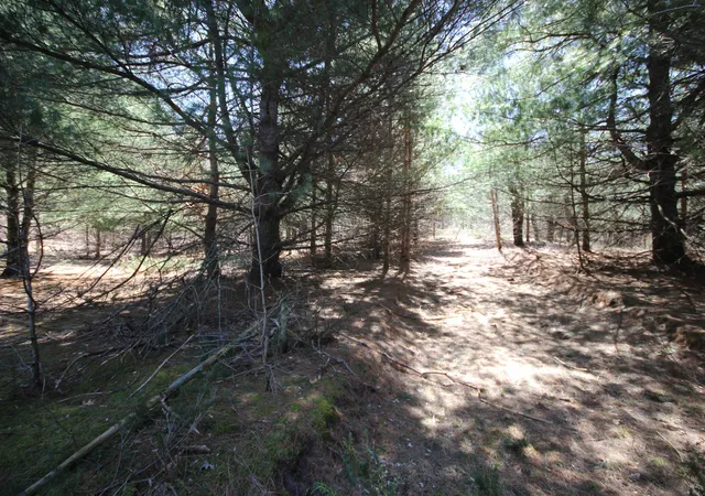 4th image of 00 Maple View Dr, Central Lake, MI 49622 | MLS# 80067813