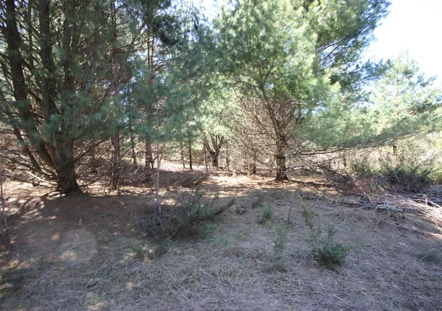 5th image of 00 Maple View Dr, Central Lake, MI 49622 | MLS# 80067813