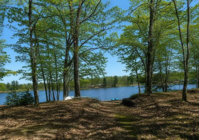 Land for sale at 10746 N Beaver Trl, Bitely, MI 49309-9320 | MLS# 70526645