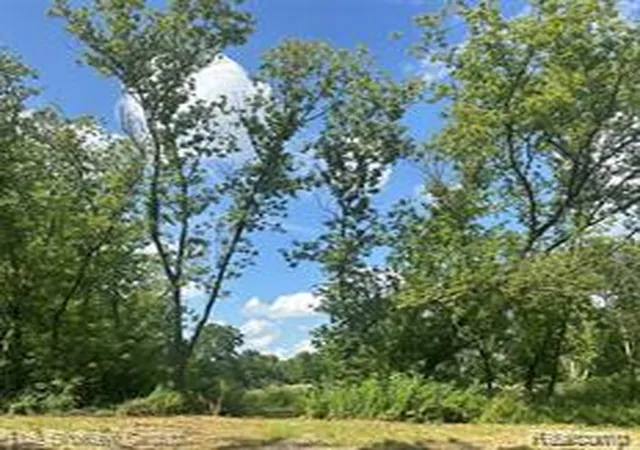 Land for sale at 15451 Lakeview Park Dr, Fenton, MI 48423 | MLS# 61012668