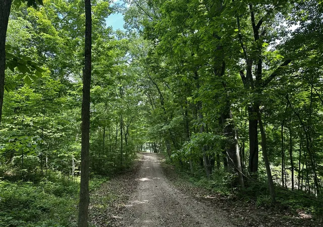 Homes for sale in Delton, MI | S Norris Road Road, Delton, MI 49046 | MLS# 70537227