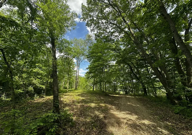 Photo 3 of Land for sale at V/l S Norris Rd, Delton, MI 49046 | MLS# 70537227 | Listing updated on 2026-07-13