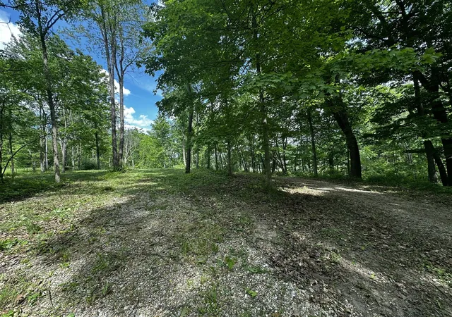 Photo 3 of Land for sale at V/l S Norris Rd, Delton, MI 49046 | MLS# 70537227 | Listing updated on 2026-07-13
