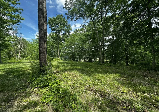 Photo 4 of Land for sale at V/l S Norris Rd, Delton, MI 49046 | MLS# 70537227 | Listing updated on 2026-07-13