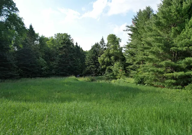 Homes for sale in Mesick, MI | 33 W 20 Rd, Mesick, MI 49668 | MLS# 80070874