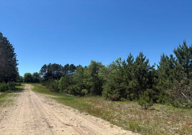 Homes for sale in Bear Lake, MI | 791 Butwell Rd, Bear Lake, MI 49614 | MLS# 80070582