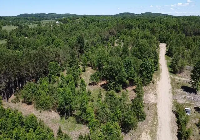 Homes for sale in Bear Lake, MI | 791 Butwell Rd, Bear Lake, MI 49614 | MLS# 80070582