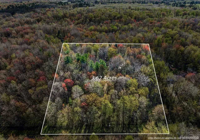 Homes for sale in Vassar, MI | 6799 Maplegrove Rd, Vassar, MI 48768 | MLS# 60989233