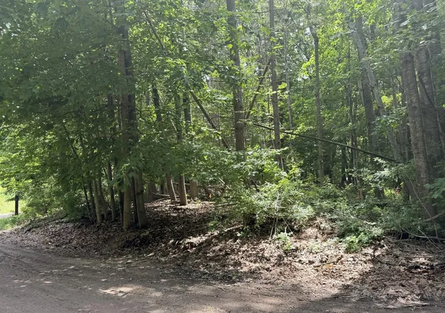 1st image of 0 Longbridge Rd, Pentwater, MI 49449 | MLS# 70539223