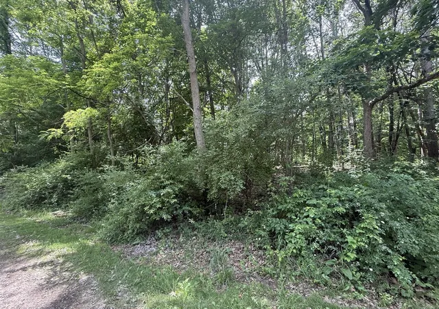 2nd image of 0 Longbridge Rd, Pentwater, MI 49449 | MLS# 70539223
