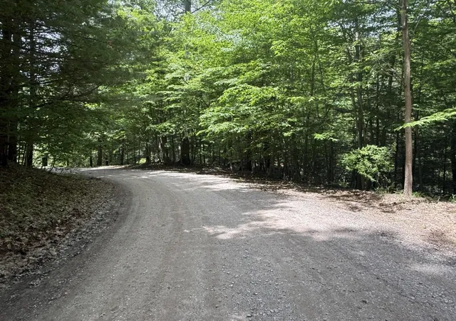 Photo 3 of Land for sale at Longbridge Rd, Pentwater, MI 49449 | MLS# 70539223 | Listing updated on 2026-07-15