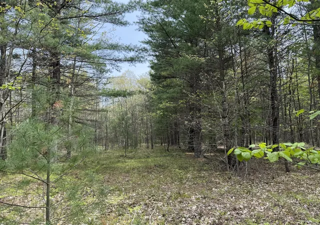 Photo 1 of Land for sale at Critter Trl, Manistee, MI 49660 | MLS# 70506393 | Listing updated on 2026-06-18