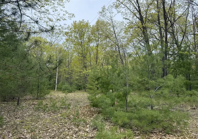 Photo 2 of Land for sale at Critter Trl, Manistee, MI 49660 | MLS# 70506393 | Listing updated on 2026-06-18