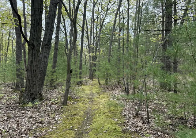 Photo 4 of Land for sale at Critter Trl, Manistee, MI 49660 | MLS# 70506393 | Listing updated on 2026-06-18