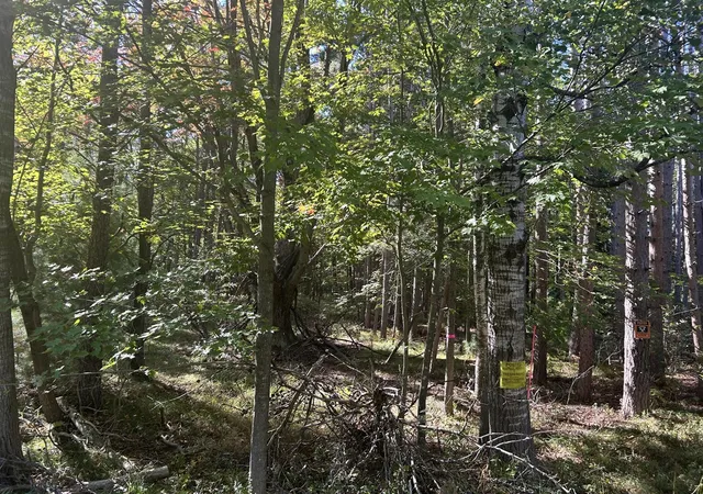 Homes for sale in Stanwood, MI | 6195 110th Ave, Stanwood, MI 49346 | MLS# 70496963